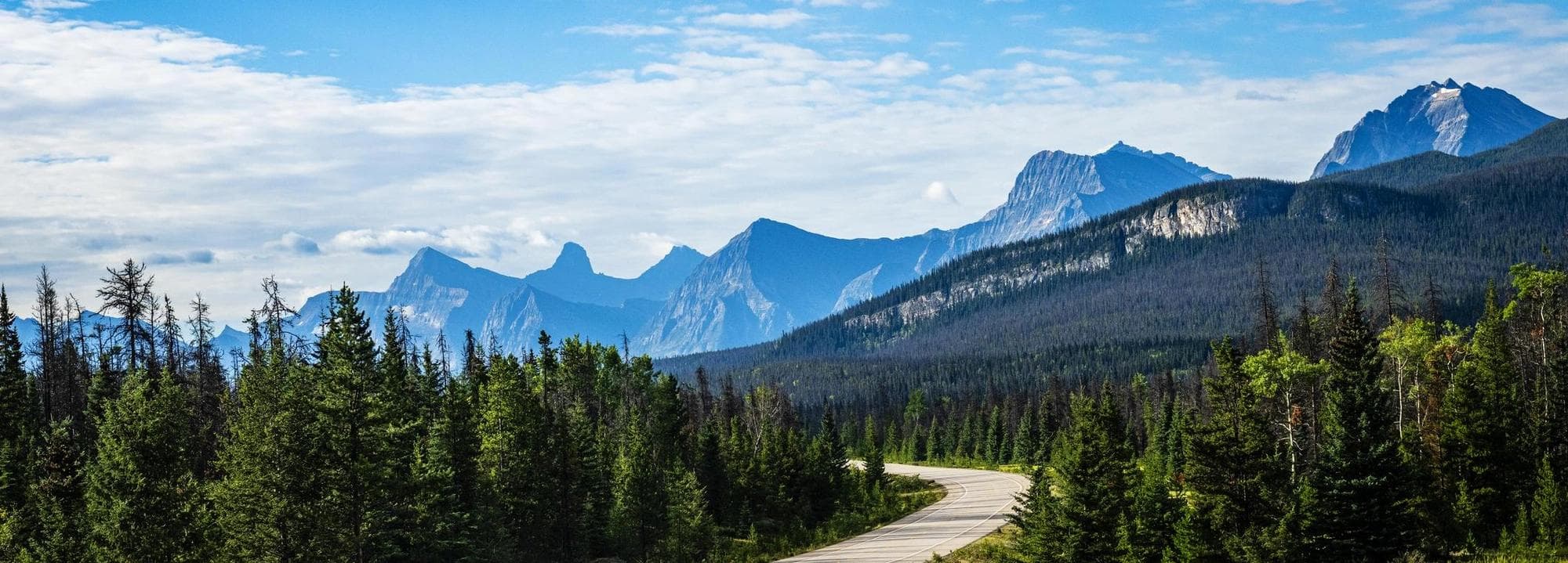 route sinueuse avec des arbres menant à une montagne