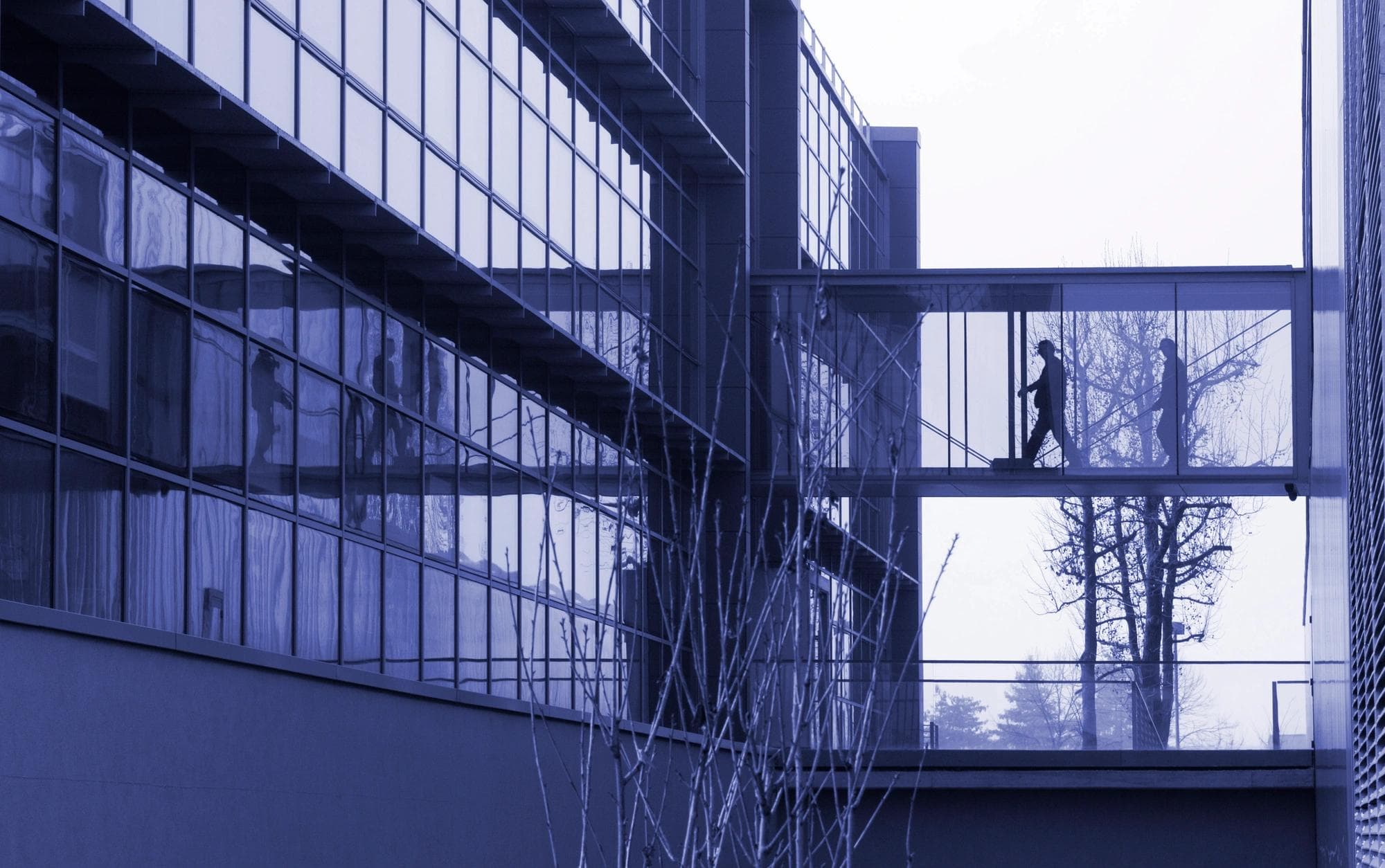 personnes marchant dans l’immeuble