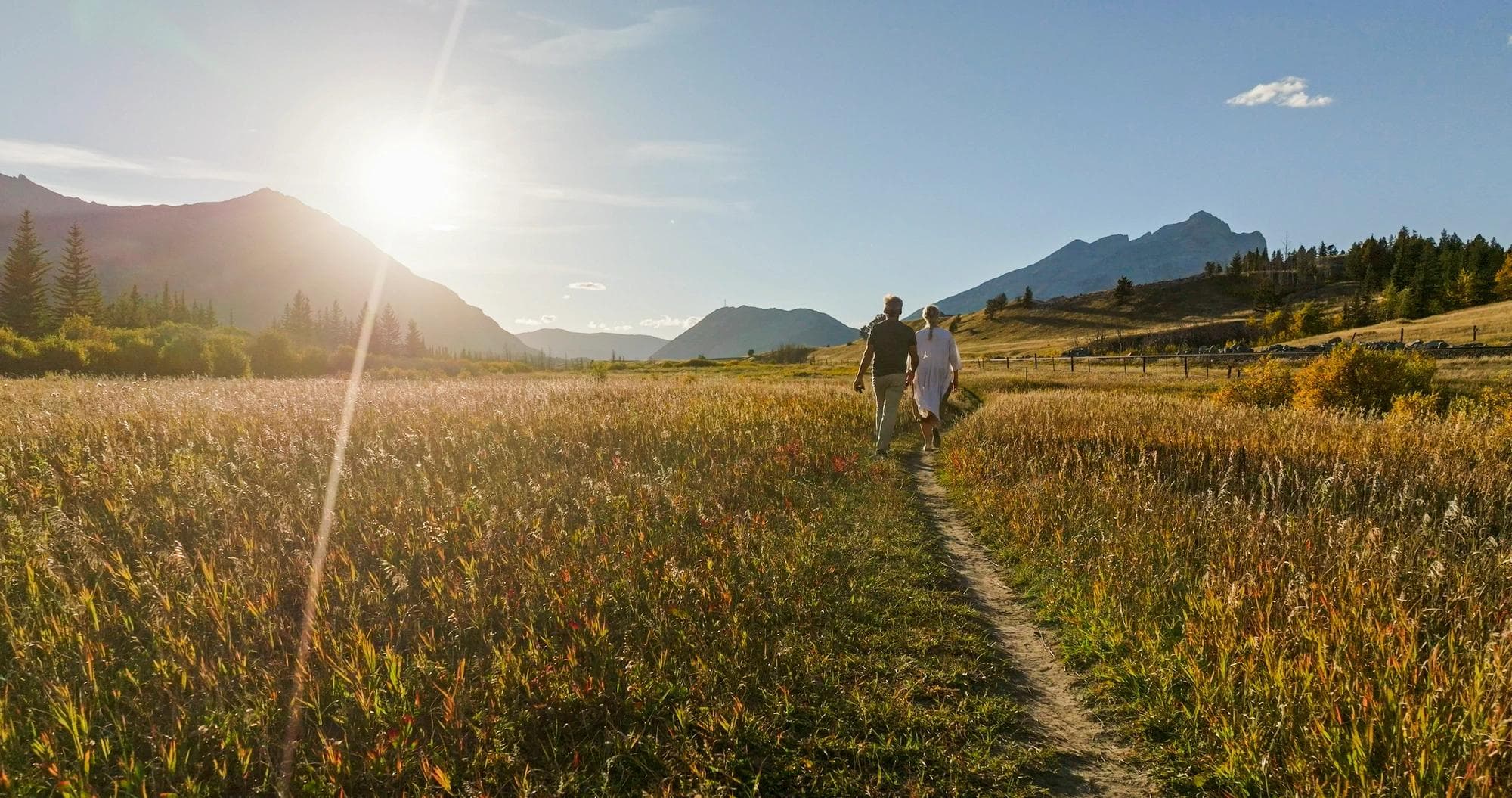 un couple se promenant dans un pré ensoleillé