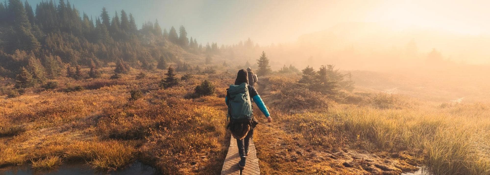 personne marchant sur un chemin à travers une prairie et une forêt