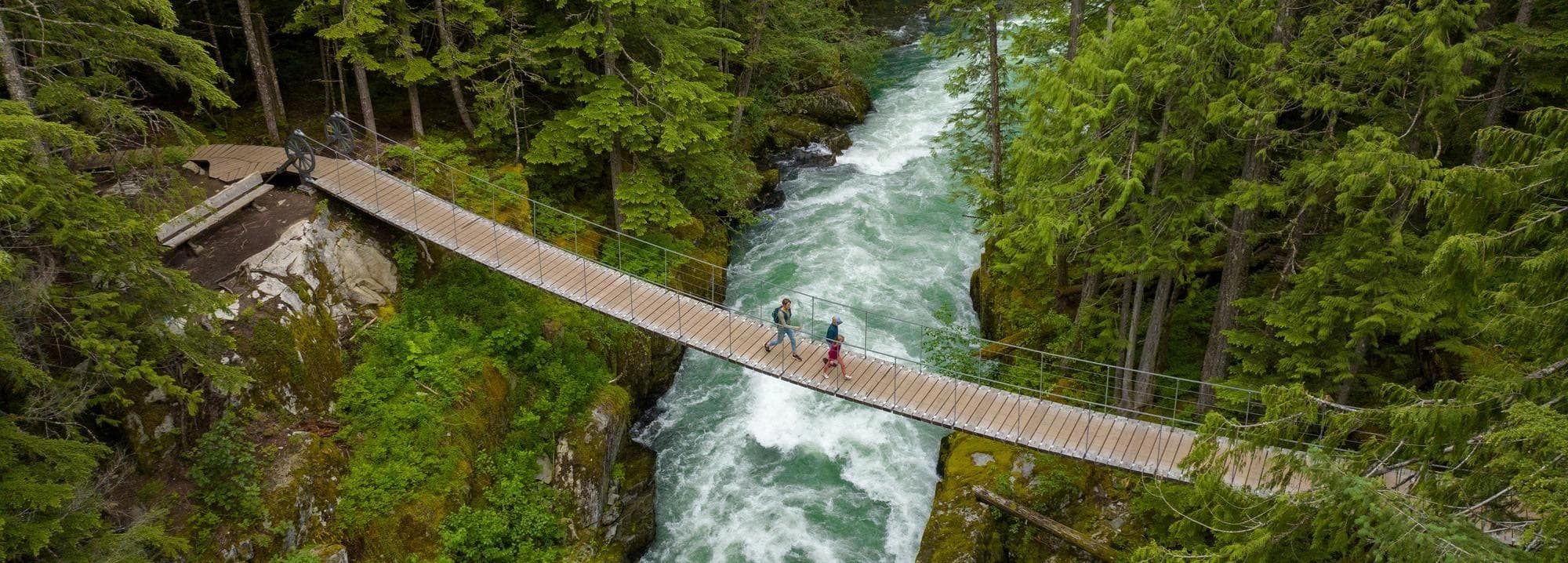 des gens marchant à travers un pont dans la forêt